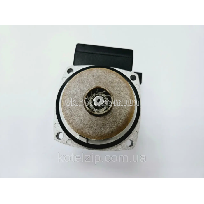 Насос циркуляционный для котла Ferroli Domicompact, DOMIproject 39818450